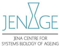 Logo JenAge