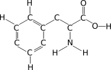 Molecule graph of phenylalanine